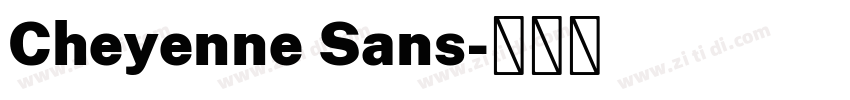 Cheyenne Sans字体转换 Cheyenne Sans字体转换